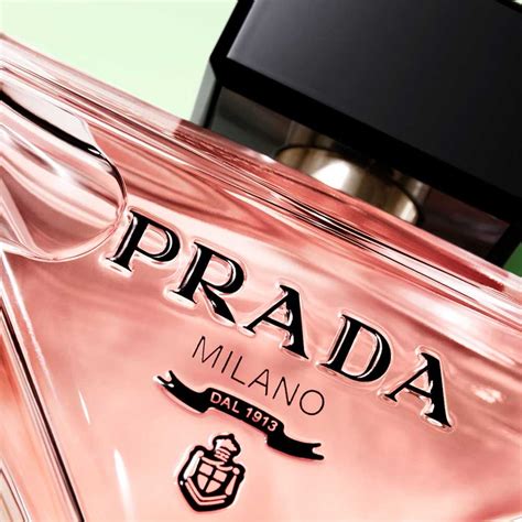 nuovo profumi prada|paradoxe parfume prada.